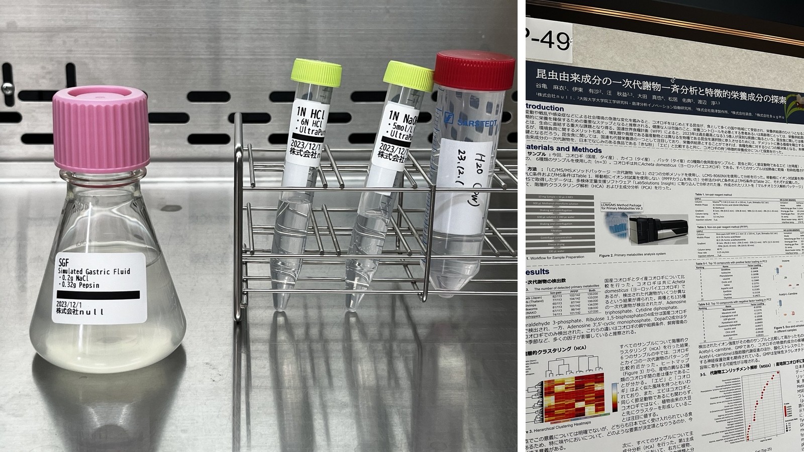 食用コオロギ研究支援