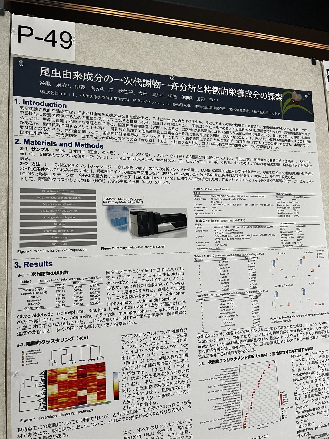 食用コオロギ研究支援